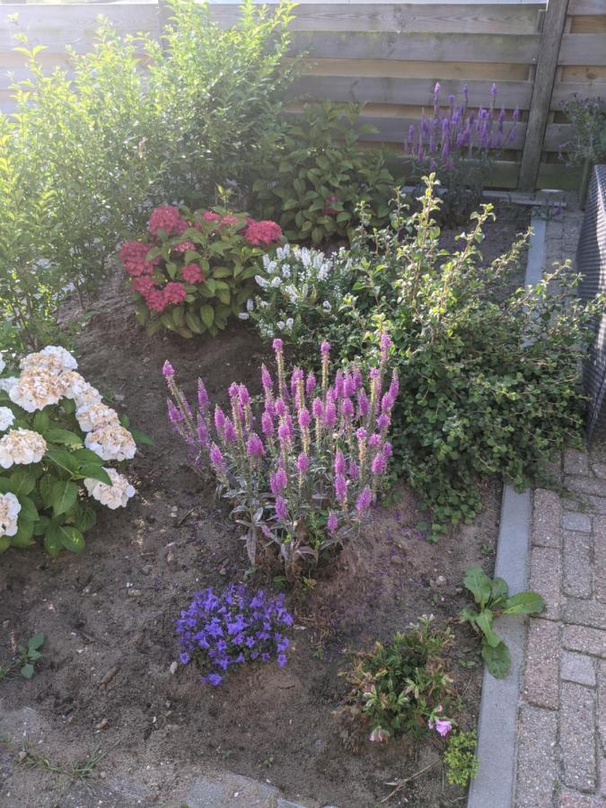 Logies21 Texel Bed and Breakfast Oosterend  Exteriör bild